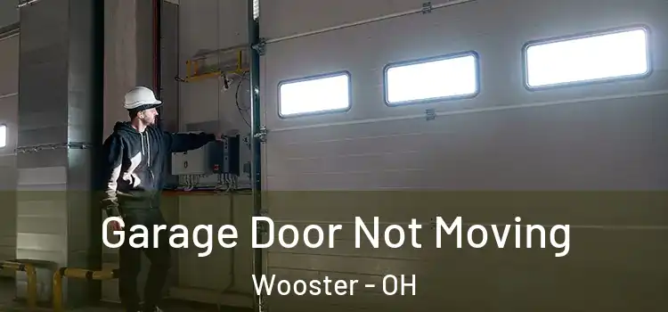  Garage Door Not Moving Wooster - OH