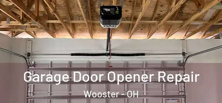  Garage Door Opener Repair Wooster - OH