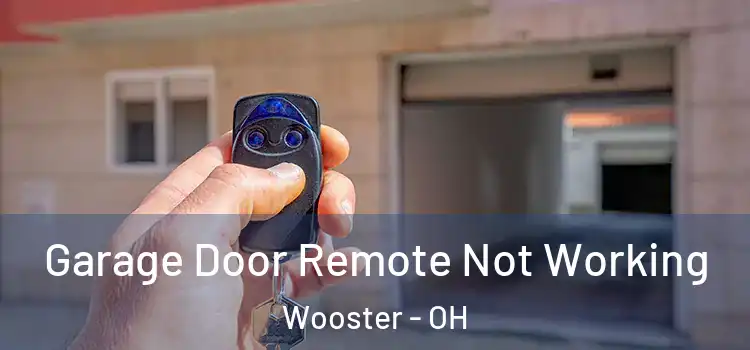  Garage Door Remote Not Working Wooster - OH