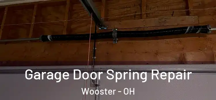  Garage Door Spring Repair Wooster - OH