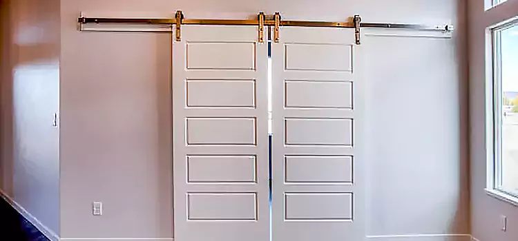 Glass Barn Door with Installation Hardware Kit Wooster