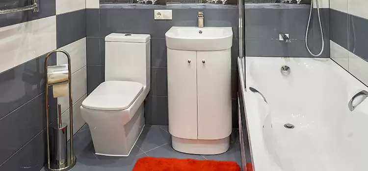 Hansgrohe Shaving Mirror Wooster